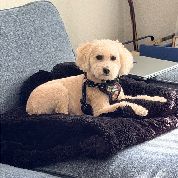 tuffybrown